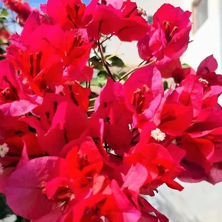 Βίλα Aquamarina 600 M Vom Meer, Casa In Miami Platja, Mit Garten, Wlan, Garage, Terrasse, Grill